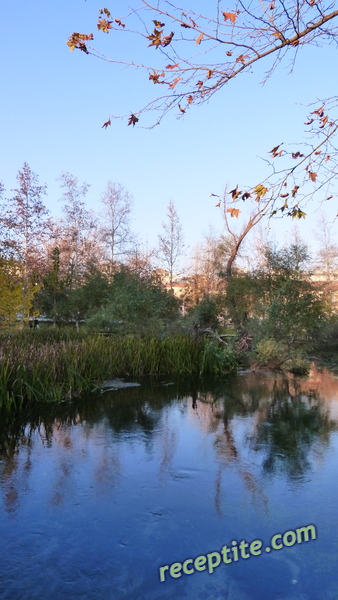 Снимки към Пътувания