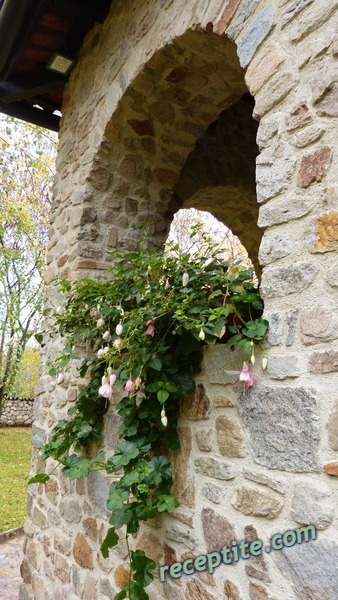 Снимки към Пътувания