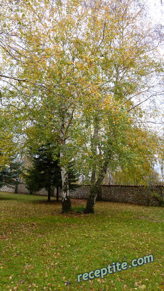 Снимки към Пътувания