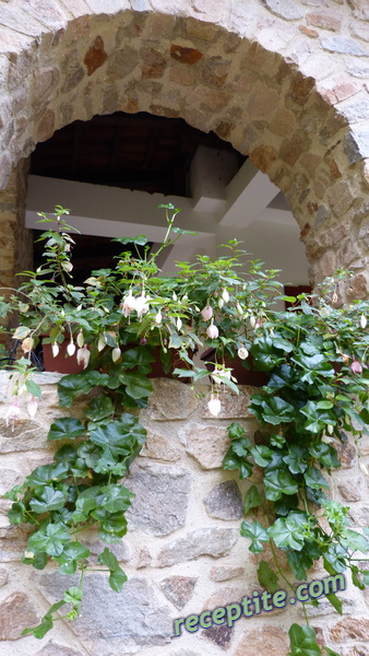 Снимки към Пътувания