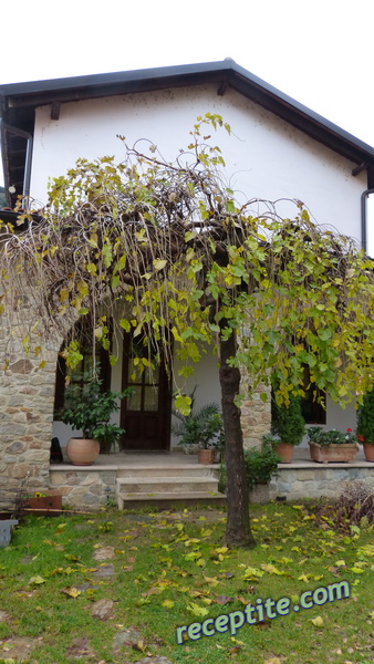 Снимки към Пътувания