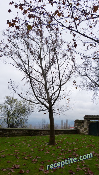 Снимки към Пътувания