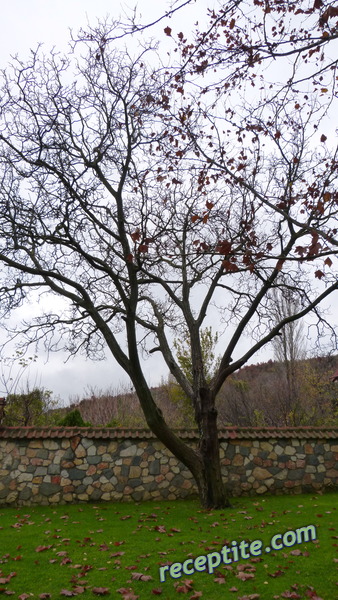 Снимки към Пътувания