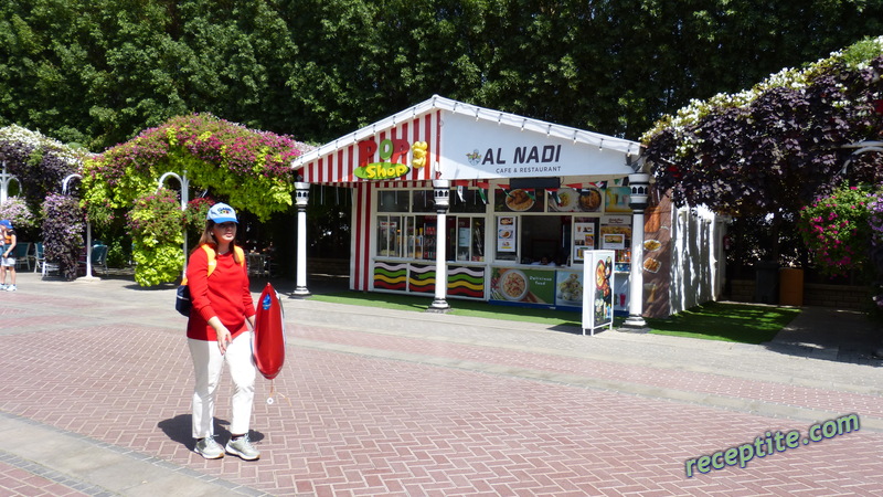 Снимки към Пътувания