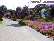 снимка 16561 към албум Пътувания