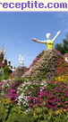 снимка 16595 към албум Пътувания