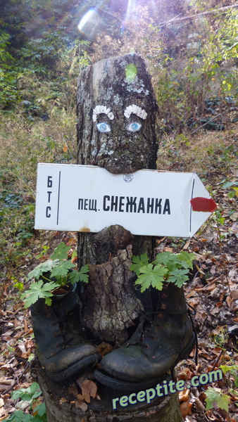 Снимки към Пътувания
