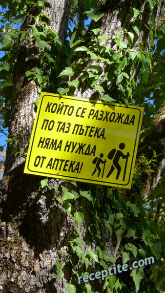 Снимки към Пътувания